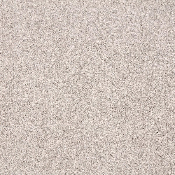 Silver Mane I - Deerfield - Beige 50 oz. Triexta Texture Installed Carpet