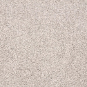 Silver Mane II  - Deerfield - Beige 65 oz. Triexta Texture Installed Carpet