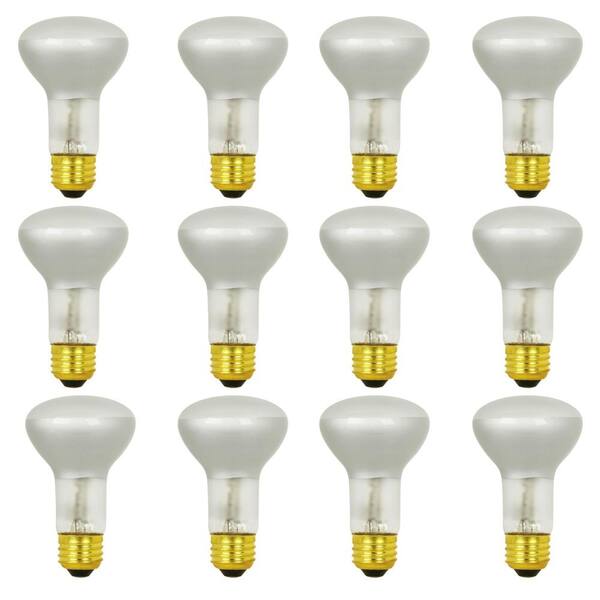 Feit Electric 40-Watt Warm White (3000K) R20 Dimmable Energy Saver Halogen Light Bulb (12-Pack)