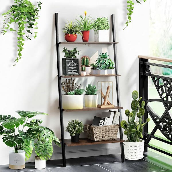 17+ Wall Shelf For Plants
