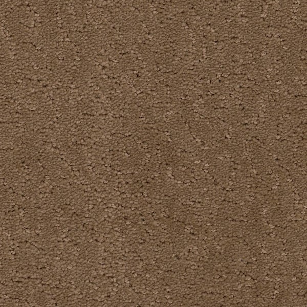 Home Decorators Collection 8 in. x 8 in. Pattern Carpet Sample - Adalida -Color Neutrino