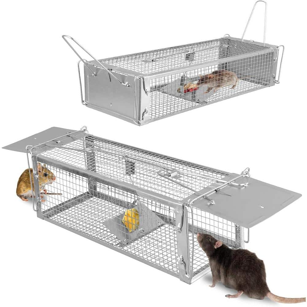 ATENGNES Humane Live Rat Trap Cage Dual Door Live Rat Traps Rodent ...