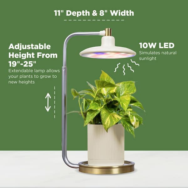 AeroGarden Tabletop Grow Light for Indoor Plants to Allow Live