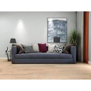 Take Home Sample - European Gray Oak 20 MIL x 7.1 in. W x 9 in. L Waterproof Click Lock Luxury Vinyl Plank Flooring