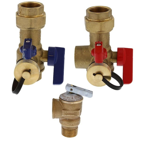 3/4 in. IPS Tankless Water Heater Valve Service Kit with Pressure Relief Valve