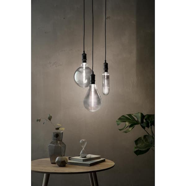 Philips 25-Watt Equivalent A50 Dimmable Modern Glass Edison LED Large Light Bulb Cool White (4000K)