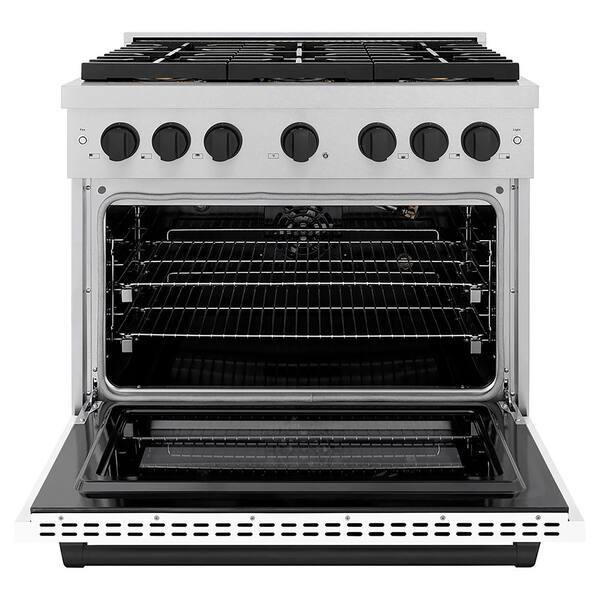 Autograph 36 in. Paramount Gas DuoPro Range with Convection Oven in Satin Steel with White Door and Black Accents
