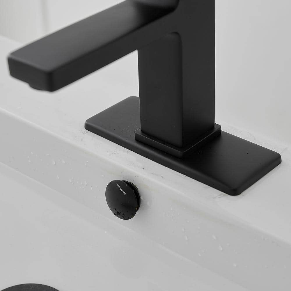 Matte Black Single-Handle Bathroom Faucet with Drain Assembly