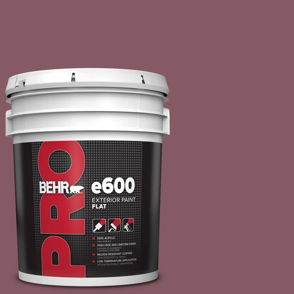 5 gal. #100D-6 Rose Garland Flat Exterior Paint price history on PriceWatchPro