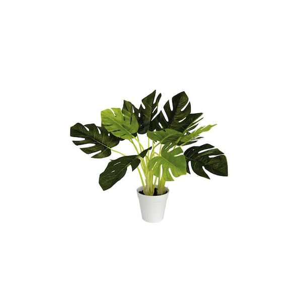 Algreen PRODUCTS 19 in. Artificial Monstera (5 in. x 4.25 in. H pot; 19 .7 in. x 19 in. H)