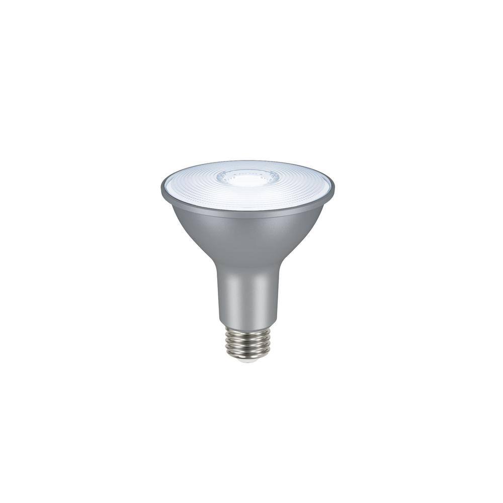 ecosmart par30 led