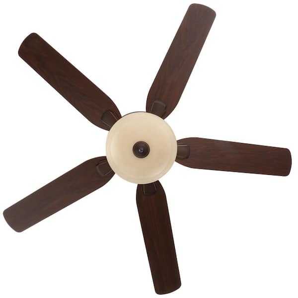 Motorized Ceiling Fan Lowering Device Shelly Lighting
