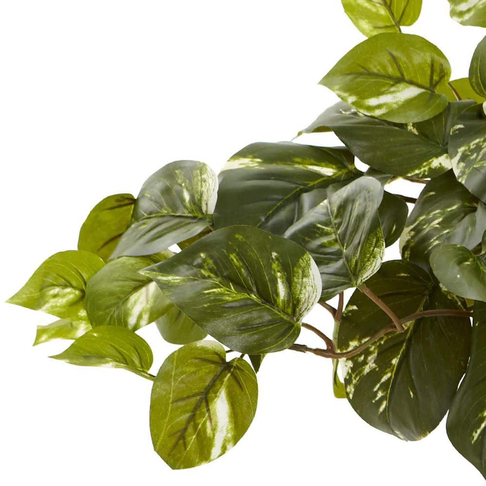 Green Pothos with Rectangle Decorative Planter, 18"