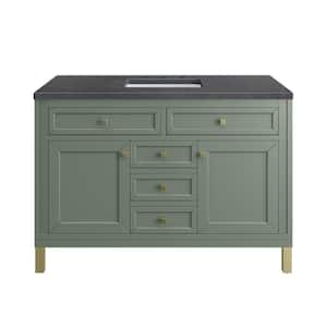 Chicago 48.0 in. W x 23.5 in. D x 34 in. H Bathroom Vanity in Smokey Celadon with Charcoal Soapstone Quartz Top