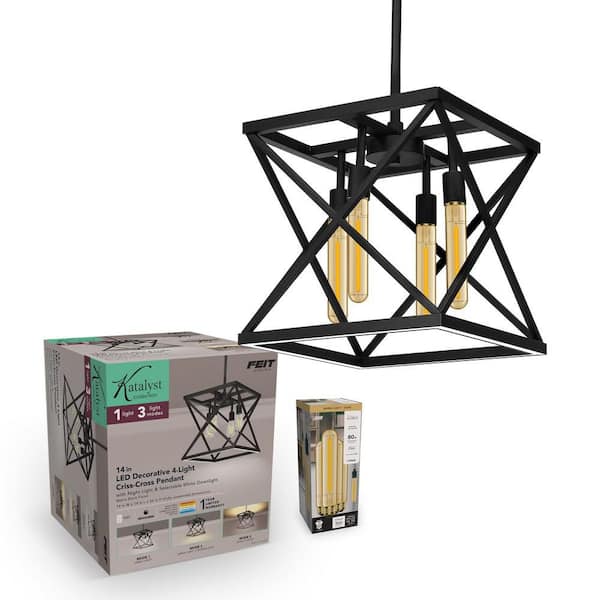 Katalyst 60-Watt 4-Light LED Pendant Light and 60-Watt Equivalent T10L Edison Bulb, Warm White 2100K (4-Pack)