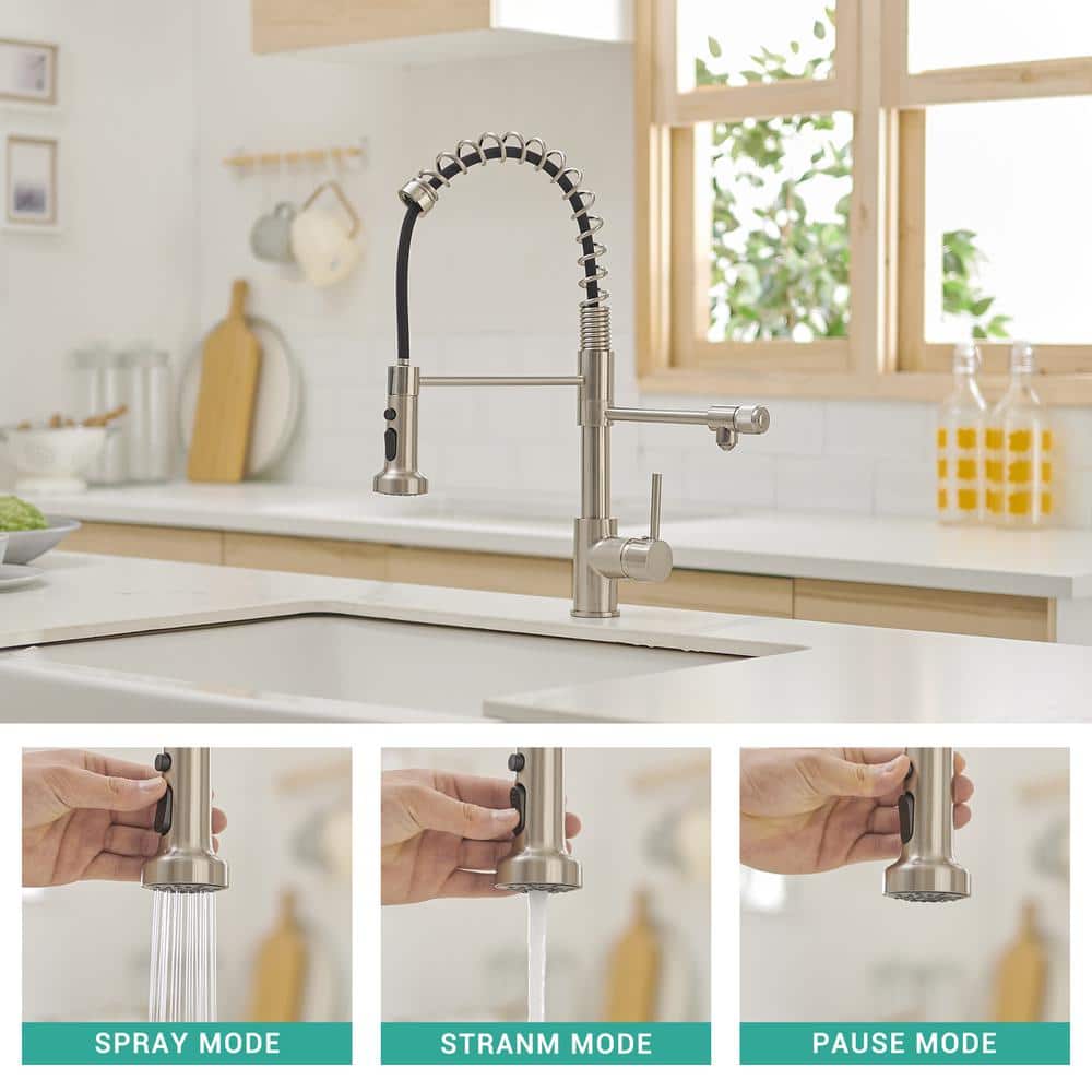 Brushed Nickel Pull Down Kitchen Faucet with Water Filter