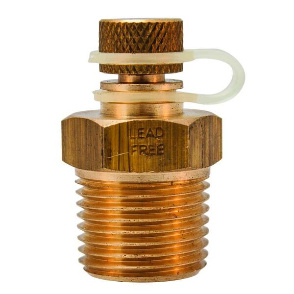 Winters Instruments 1.5 in. Lead-Free Brass Test Plug with Cap and 1/2 in. NPT Male Connection