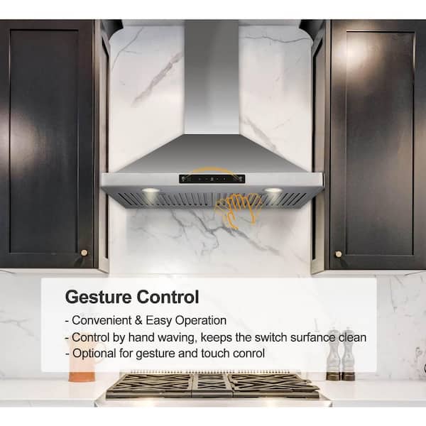 30 in. Convertible Wall Mounted Range Hood with 6-Speeds, 800 CFM, 3-Types of Filters, Stainless Steel, Downdraft System