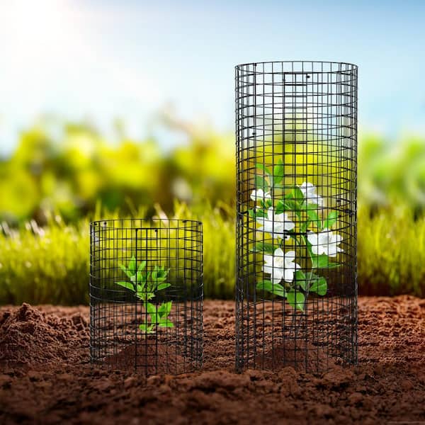 6-Pack Plant Protector from Animals 12.6 in. Dia. x 14 in. H Chicken Wire Plant Protector Plant Cage 18-Piece Metal Mesh