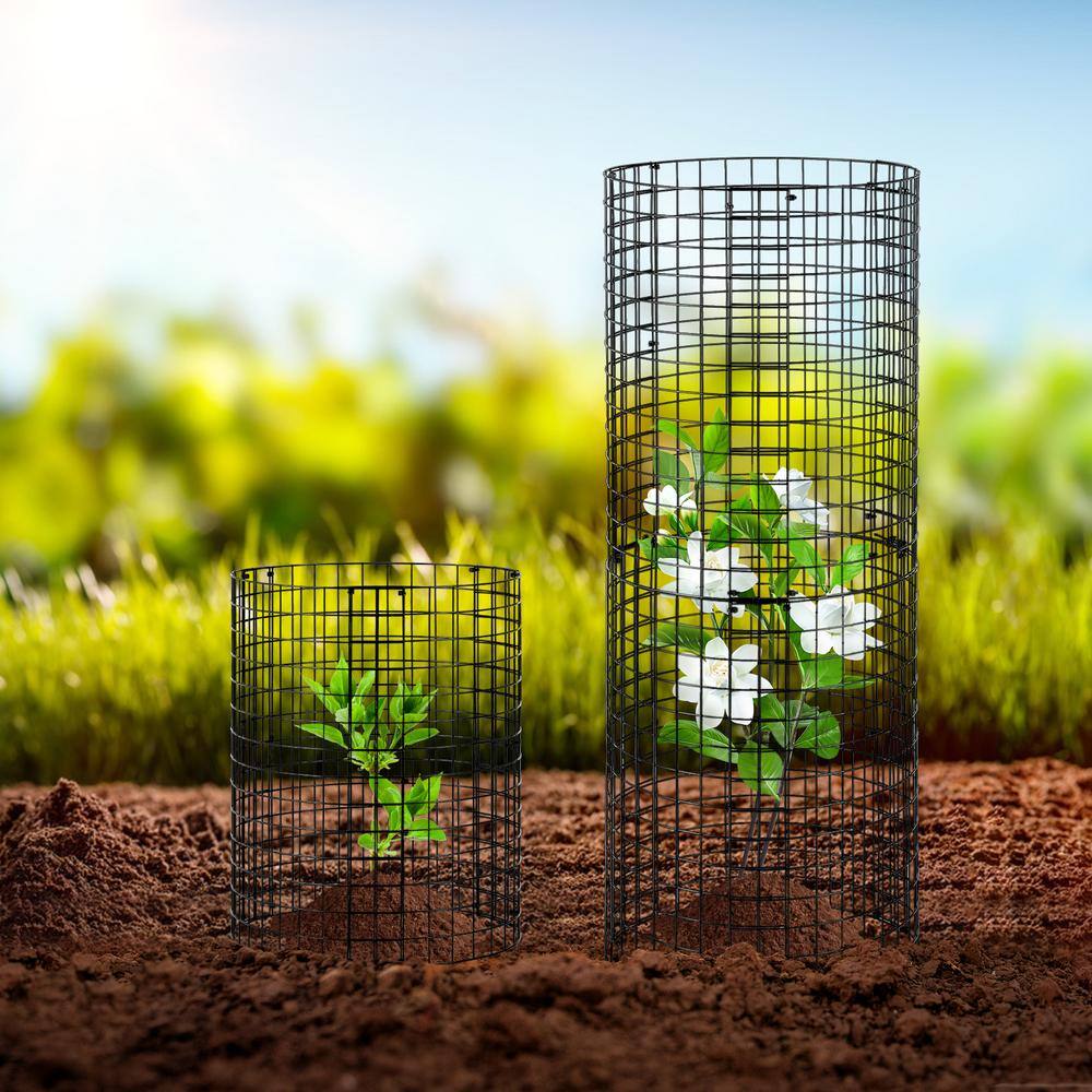 Black Metal Mesh Plant Protector Cage Set