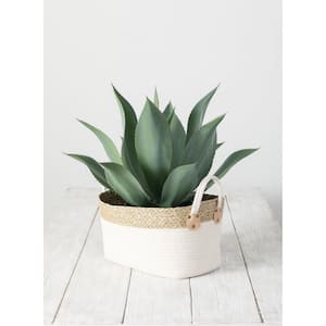 20" Artificial Potted Green Agave Plant