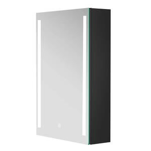 20 in. W x 30 in. H Black Rectangle Aluminum Recessed or Surface Mount ...