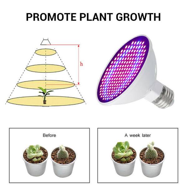 200 LED Plant Grow Bulbs Light Clip Holder Flower Growing Green House Aquarium for sale online 