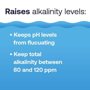 1.25 lb. Spa Alkalinity Up Balancer