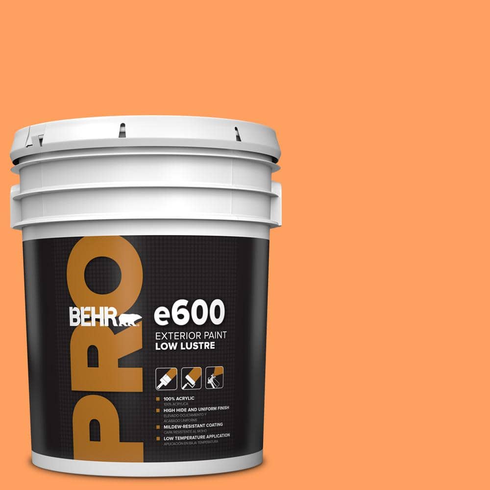 5 gal. #250B-5 Orange Spice Low Luster Exterior Paint price history on PriceWatchPro