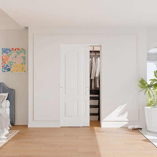 TENONER 48 in. x 80 in. 2-Panel Hollow Core White Primed MDF