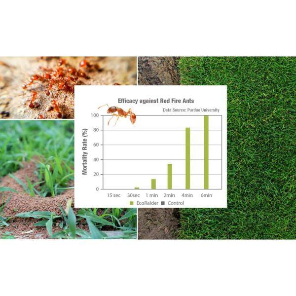 Is Ant Stop Safe For Dogs