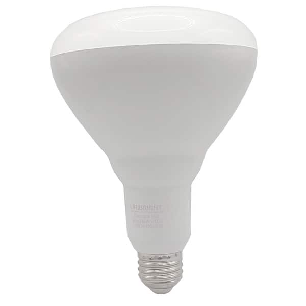 65-Watt Equivalent BR40 LED Bulb, Dimmable Flood Light, E26 Base, 6500K Daylight, Title 20, 90+ CRI