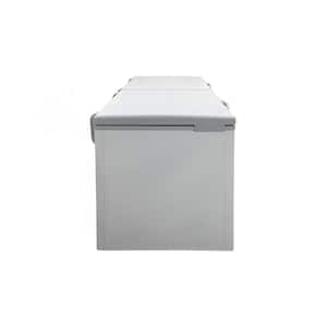 76.5 in. 24 cu. ft. Manual Defrost Commercial Chest Freezer BD760 with Solid Top in White