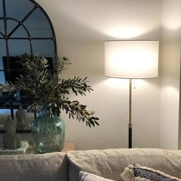 65 in. Adjustable Black and Brass Metal Floor Lamp with Pull Chain Switch