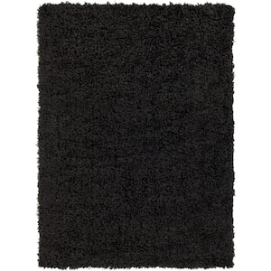 Marne Black 5 ft. x 7 ft. Indoor Area Rug