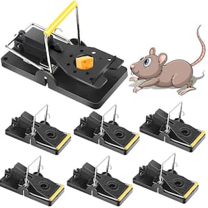 6 Pack Reusable Rat Rodent Killer Snap Kill Trap Mouse Traps House Mouse Traps Outdoor Mice Traps for House Indoor