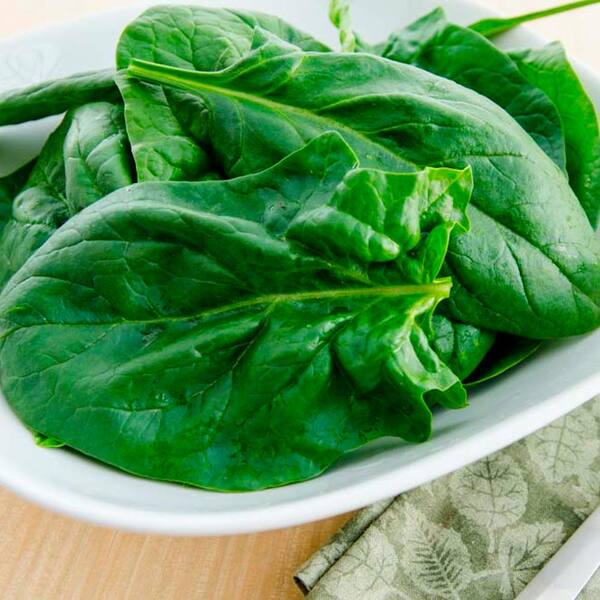 Gurney's Spinach Goliath (200 Seed Packet)