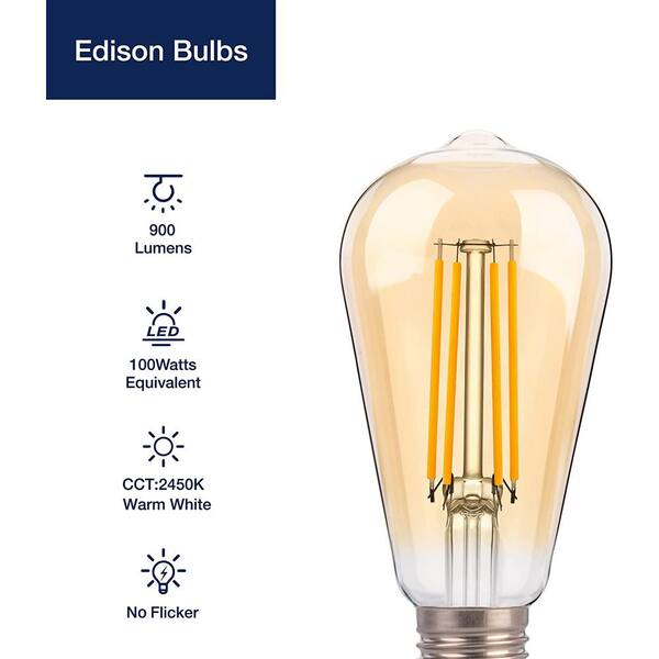 FLSNT 100-Watt Equivalent ST19 Dimmable LED Straight Filament Vintage Edison Light Bulb E26 Base, 2450K Warm White (12-Pack)