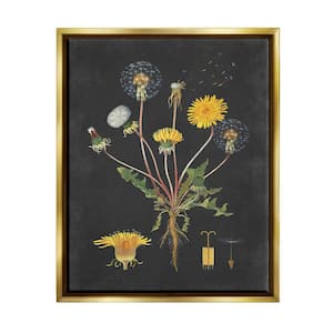 Trademark Fine Art Midnight Botanical Ii by Vision Studio 32 in. x 24 in.  WAG00950-C2432G - The Home Depot