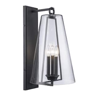 Siobhan 22.5 in. 3-Light Black Outdoor Wall Light Fixture with Clear Glass