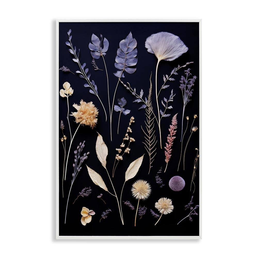 Various Sprigs on Black by Heidi Kuntz White Framed Nature Giclee Art Print 18 in. x 12 in. price history on PriceWatchPro