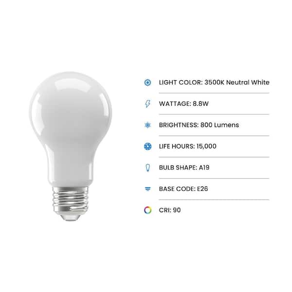60-Watt Equivalent A19 Dimmable Filament CEC 90+ CRI Frost Glass E26 Medium LED Light Bulb, Natural White 3500K (4-Pack)