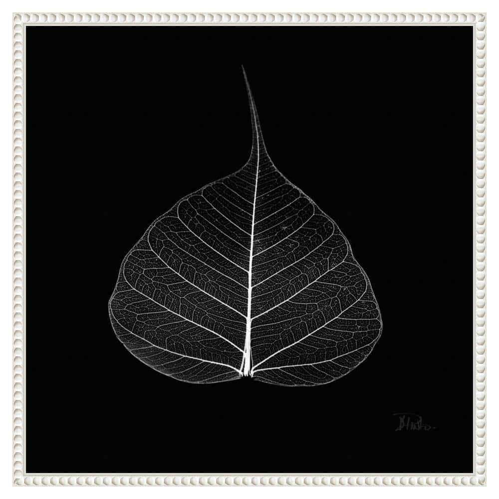 Amanti Art Minimalist Leaf on Black I by Patricia Pinto Canvas Wall Art Print Framed 22 x 22-in.