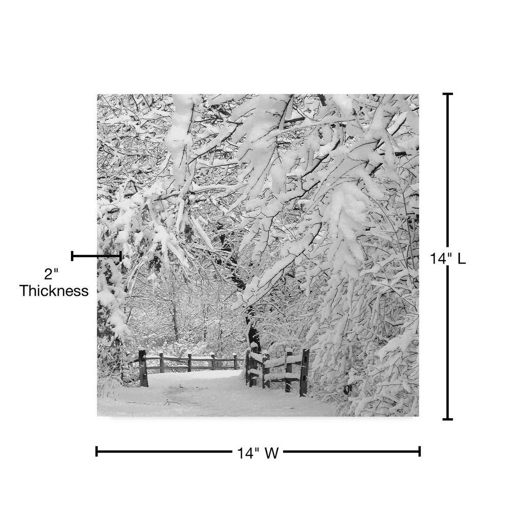 Winter Wonderland White Canvas Art Print, 14x14