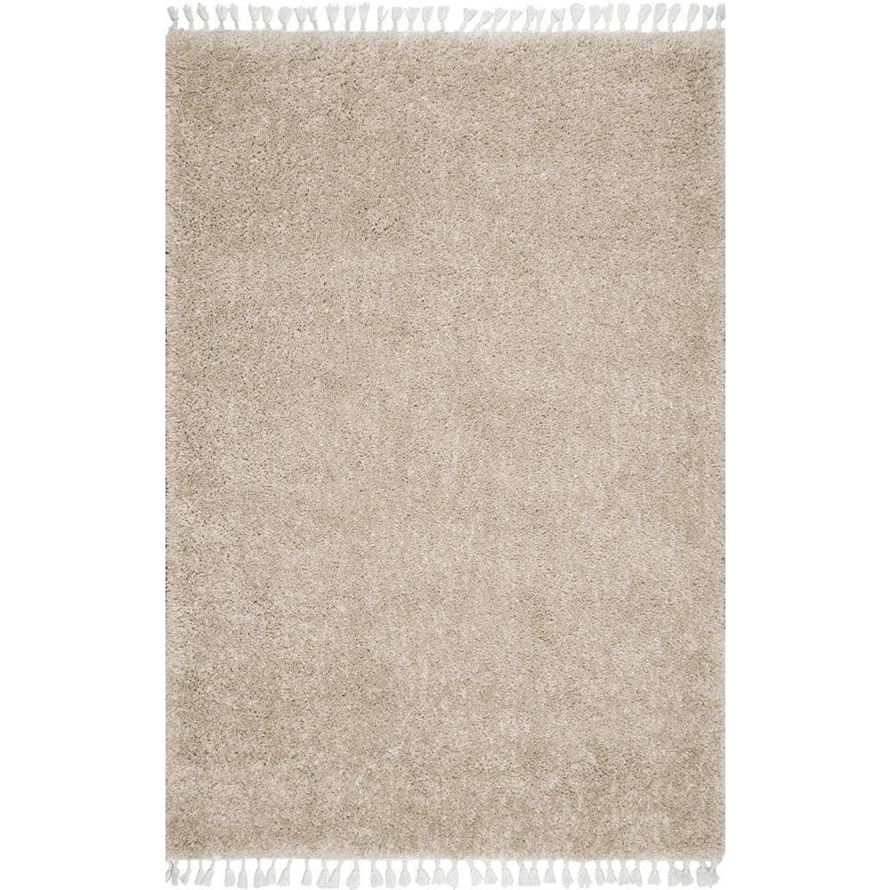 Cozy Beige Braided Tassel Shag Area Rug - Easy Care 3'x5'