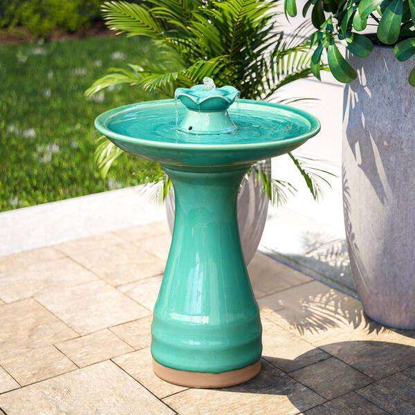 house of paloma フラワートップス Paradise Found in Tulsa OK - Ted & Debbie's Flower Garden