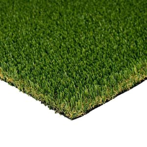 Premium Pet Turf 15 ft. W x Cut to Length Green Artificial Grass Turf
