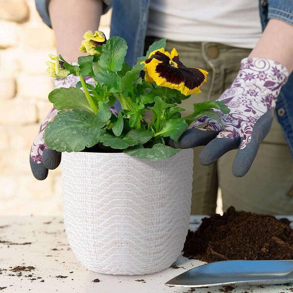 6 inch Reed Grey Round Cement Planter - Plant Pot with Drainage Hole by Succulents Box