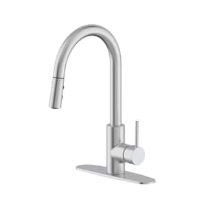 Single-Handle Pull Down Sprayer Kitchen Faucet with Dual Spray in Stainless Steel