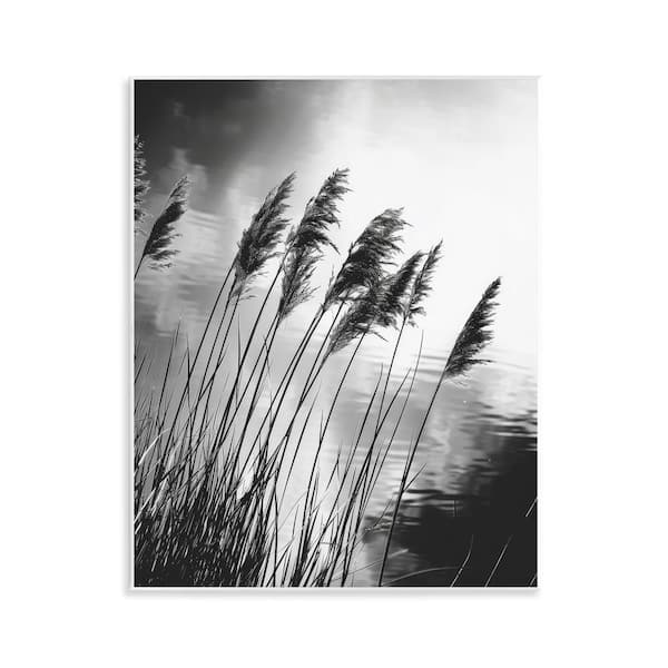 Stupell Industries Stark Contrast Wheat by Petal Prints Design Unframed Nature Graphic Art Print 14 in. x 11 in.